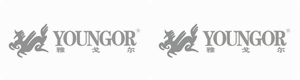 雅戈爾